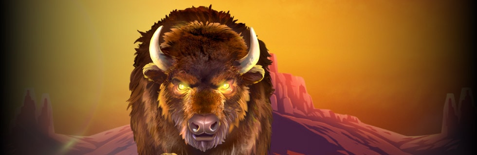 buffalo-rising